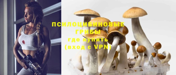 тгк Семилуки